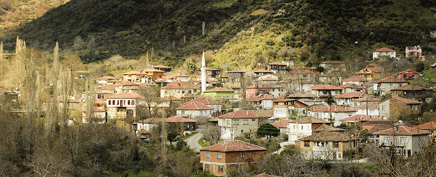 El otoño ofrece múltiples opciones en Istanbul y alrededores